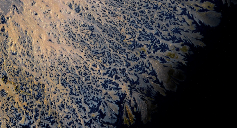 Screenshot 2025-11-12 at 2.21.32â¯PM